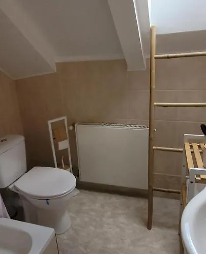 Fanaberia 公寓 卡尔帕奇